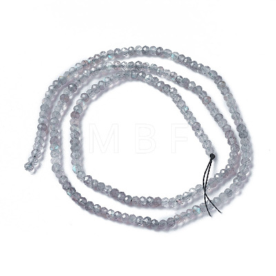 Natural Labradorite Beads Strands X-G-F596-07-1