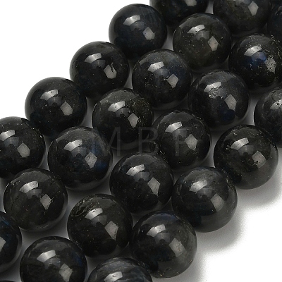 Natural Black Labradorite Beads Strands G-L642-B15-14mm-1