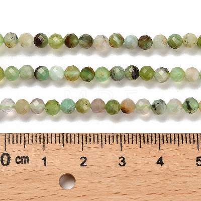 Natural Serpentine Beads Strands G-B107-A05-06-1