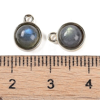 Natural Labradorite Pendants G-K372-03G-08-1