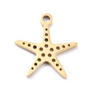 201 Stainless Steel Charms STAS-D176-03G-1