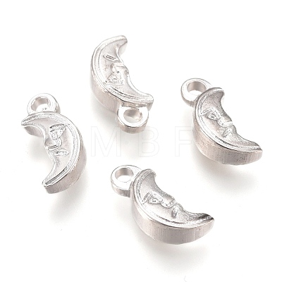 304 Stainless Steel Charms STAS-P231-14S-1