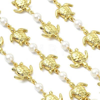 1M Handmade 304 Stainless Steel Turtle Link Chains AJEW-JB01615-02-1