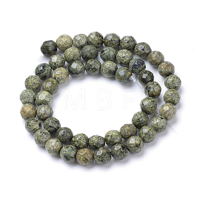 Natural Serpentine/Green Lace Stone Bead Strands X-G-R411-11-6mm-1