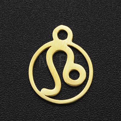 201 Stainless Steel Charms STAS-T014-LA111-5-1