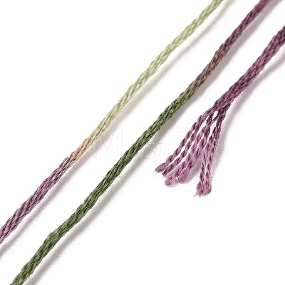 10 Skeins 6-Ply Polyester Embroidery Floss OCOR-K006-A78-1