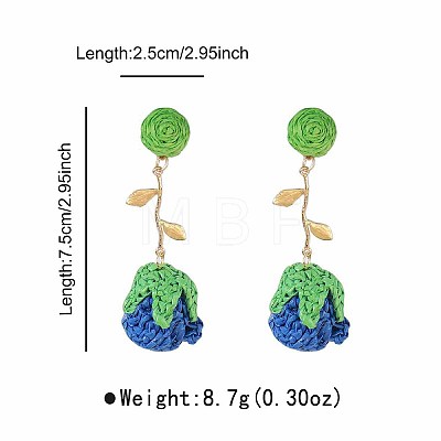 Bohemia Raffia & Alloy Stud Dangle Earrings WG3AA71-01-1