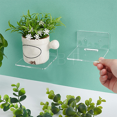 Transparent Acrylic Wall Mounted Display Stands ODIS-WH0025-84-1