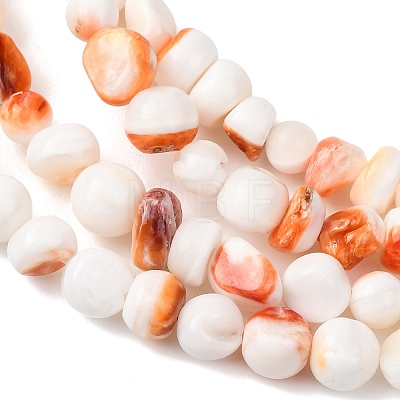 Natural Sea Shell Beads Strands SHEL-K006-77-1