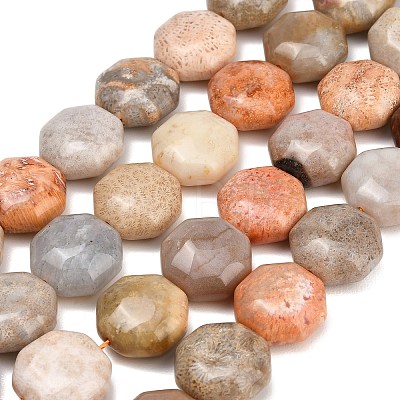 Natural Fossil Coral Beads Strands GG-CBA362F-01-1