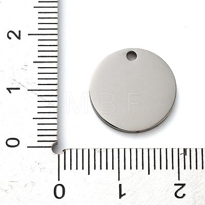 304 Stainless Steel Pendants STAS-H438-07P-03-1