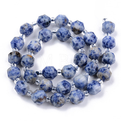 Natural Blue Spot Jasper Beads Strands G-R482-07-10mm-1