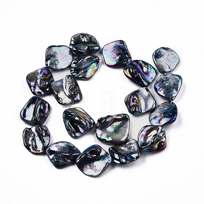 Freshwater Shell Beads Strands SHEL-N026-204-1