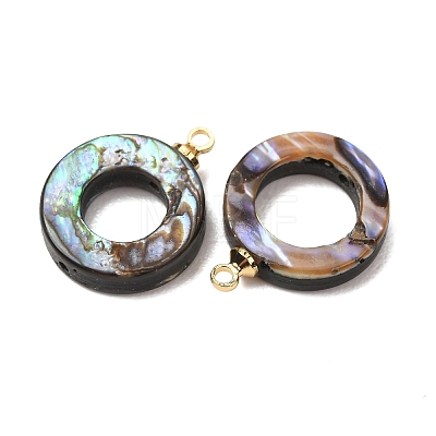 Natural Abalone Shell Pendants SH-CJC0AC7-01G-G-1