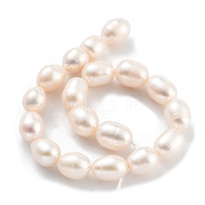 Natural Cultured Freshwater Pearl Beads Strands PEAR-P062-14D-1