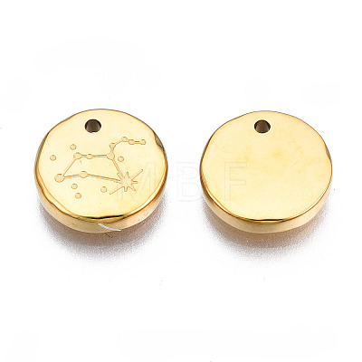 316 Surgical Stainless Steel Charms STAS-S116-418H-G-1