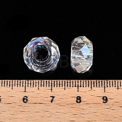 Transparent Glass European Beads GPDL-N005-D14mm-A01-1