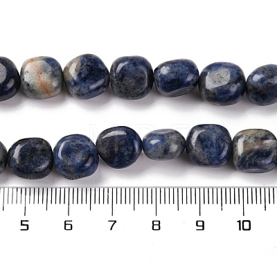 Natural Sodalite Beads Strands G-G146-A03-02-1