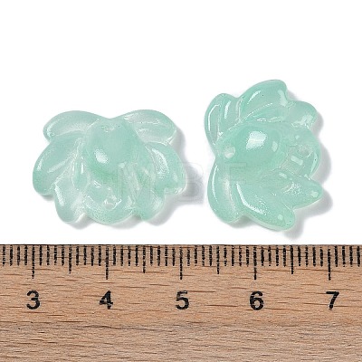 Baking Paint Glass Beads GLAA-S202-13G-1