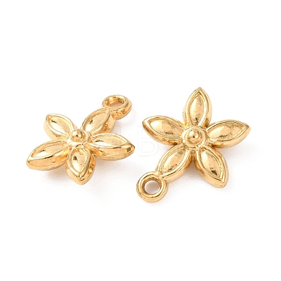 304 Stainless Steel Charms STAS-K303-08A-G-1