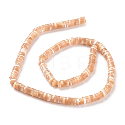 Natural Trochid Shell/Trochus Shell Beads Strands SSHEL-L016-13F-1