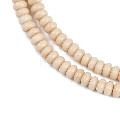 Natural Fossil Beads Strands G-K343-C24-01-1