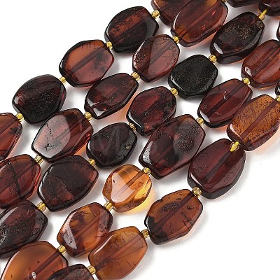 Natural Amber Beads Strands G-L095-C01-03-1