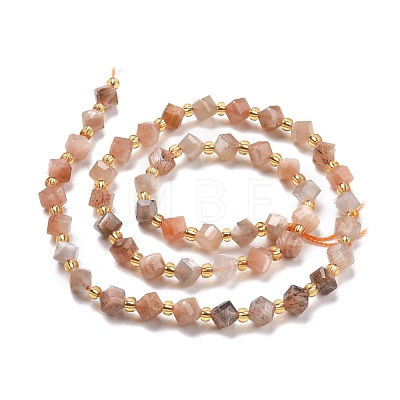 Natural Multi-Moonstone Beads Strands G-P463-06-1