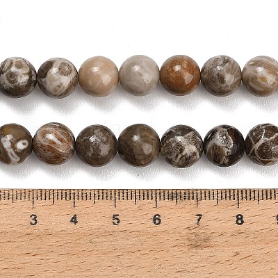 Natural Fossil Coral Beads Strands G-C288-A01-10mm-1