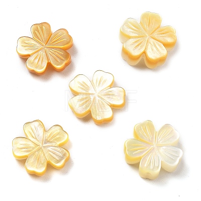 Natural Yellow Shell Carved Beads SSHEL-Z002-02C-1