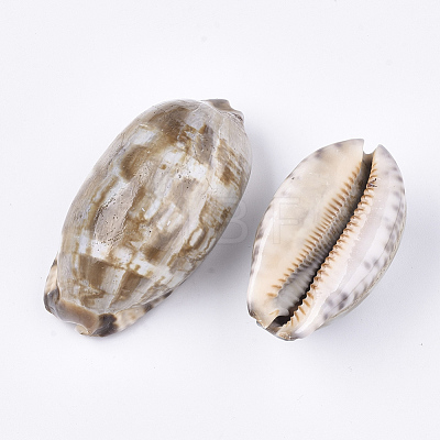 Cowrie Shell Beads SSHEL-S258-59B-1