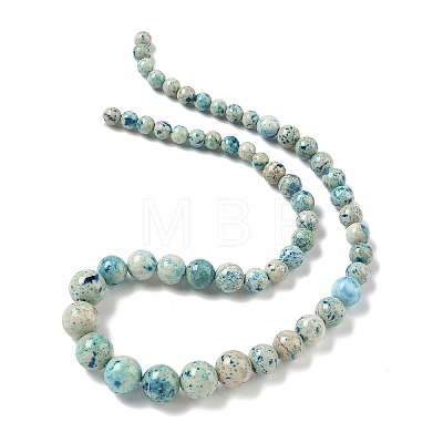 Natural Fossil Graduated Beads Strands G-F830-A03-01E-1