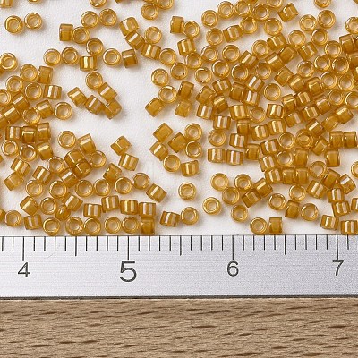 MIYUKI Delica Beads X-SEED-J020-DB0272-1