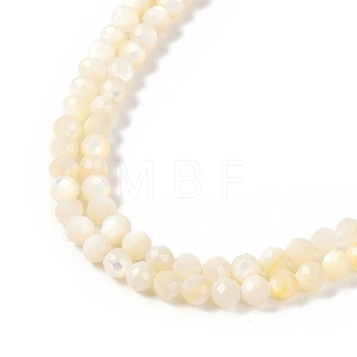 Natural White Shell Beads Strands SSHEL-E571-38A-4mm-1