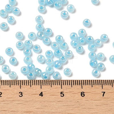 Glass Seed Beads SEED-H002-H-1303-1