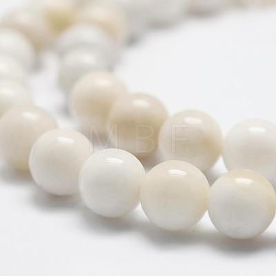 Natural White Jade Bead Strands G-G666-07A-1