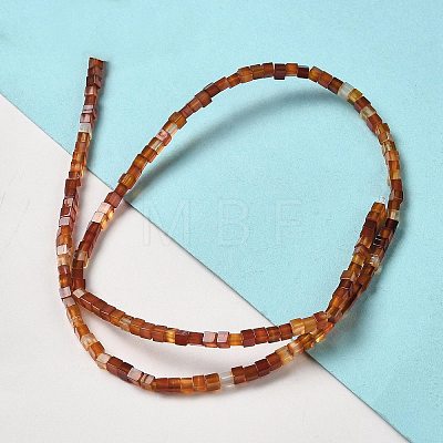 Synthetic Carnelian Beads Strands G-B064-A22-1