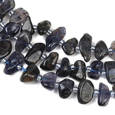 Natural Iolite Beads Strands G-L657-E04-01-1
