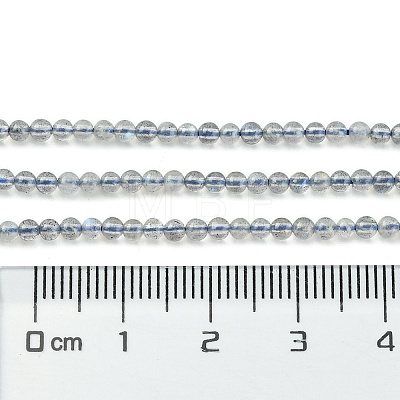 Natural Labradorite Beads Strands G-Z034-B04-02-1