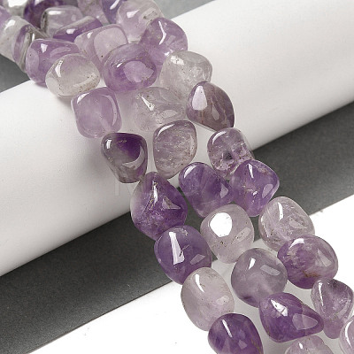 Natural Amethyst Beads Strands G-B078-D12-02-1