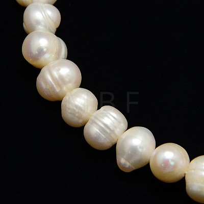 Natural Cultured Freshwater Pearl Beads Strands PEAR-L001-C-08-1