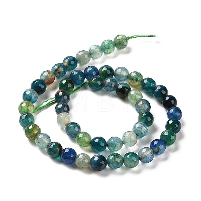 Faceted Natural Agate Beads Strands G-F447-8mm-C10A-1