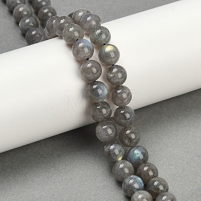 Natural Labradorite Beads Strands G-G448-8mm-04A-1