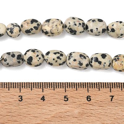 Natural Dalmatian Jasper Beads Strands G-C286-A09-1