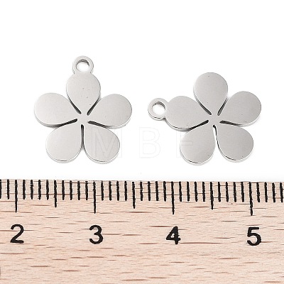 316 Stainless Steel Charms STAS-C096-10C-P-1