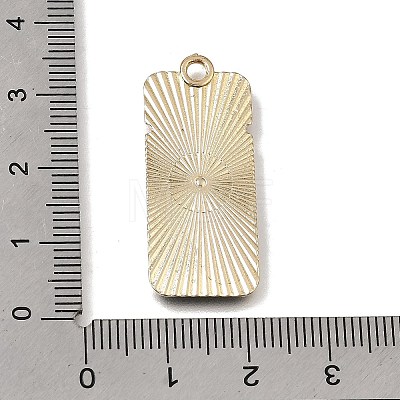 Alloy with Enamel Pendants AL-CBA91FD-01F-1