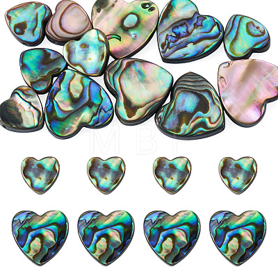 12Pcs 2 Styles Natural Abalone Shell/Paua Shell Beads SHEL-TA0001-41-1