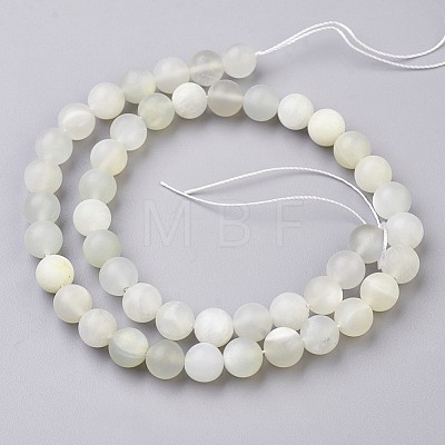 Natural White Moonstone Beads Strands G-J376-67F-8mm-1