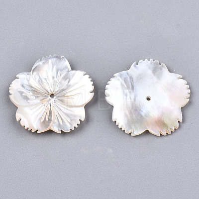 Natural White Shell Mother of Pearl Shell Beads X-SSHEL-N032-18-1
