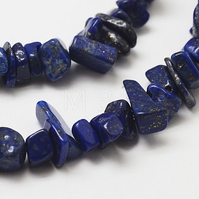 Natural Lapis Lazuli Beads Strands X-G-F328-29-1